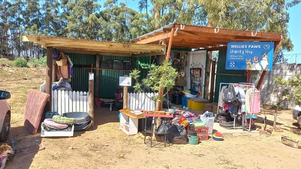Featured image for “Wellies Paws”