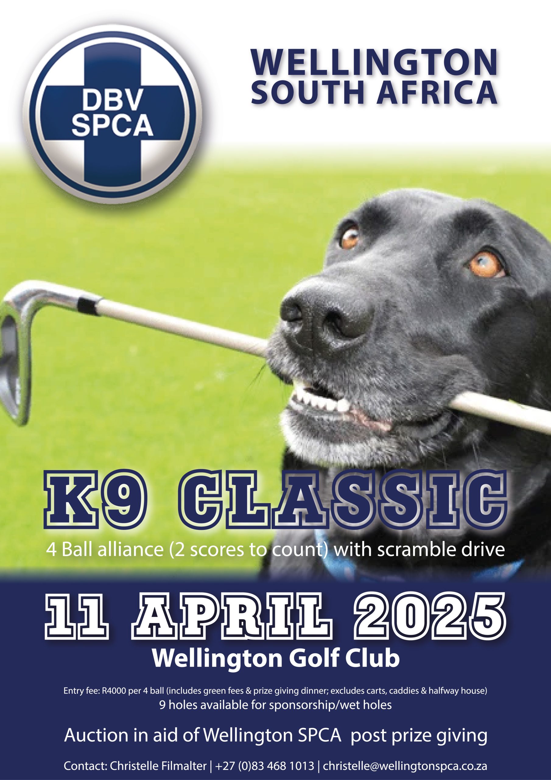 Featured image for “K9 Classic 2025”