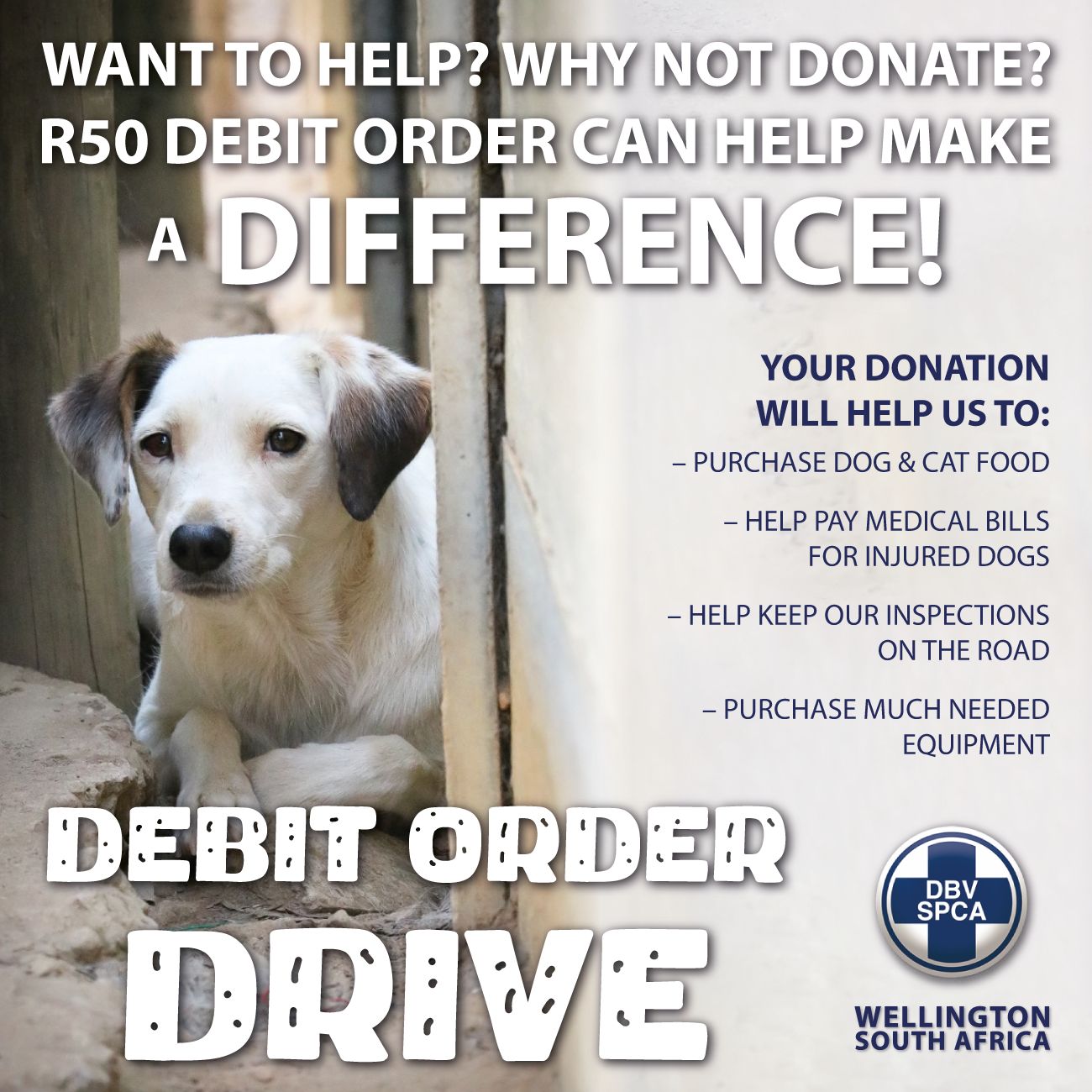 Featured image for “Debit Order Drive”