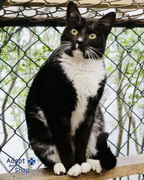 Featured image for “Donna”