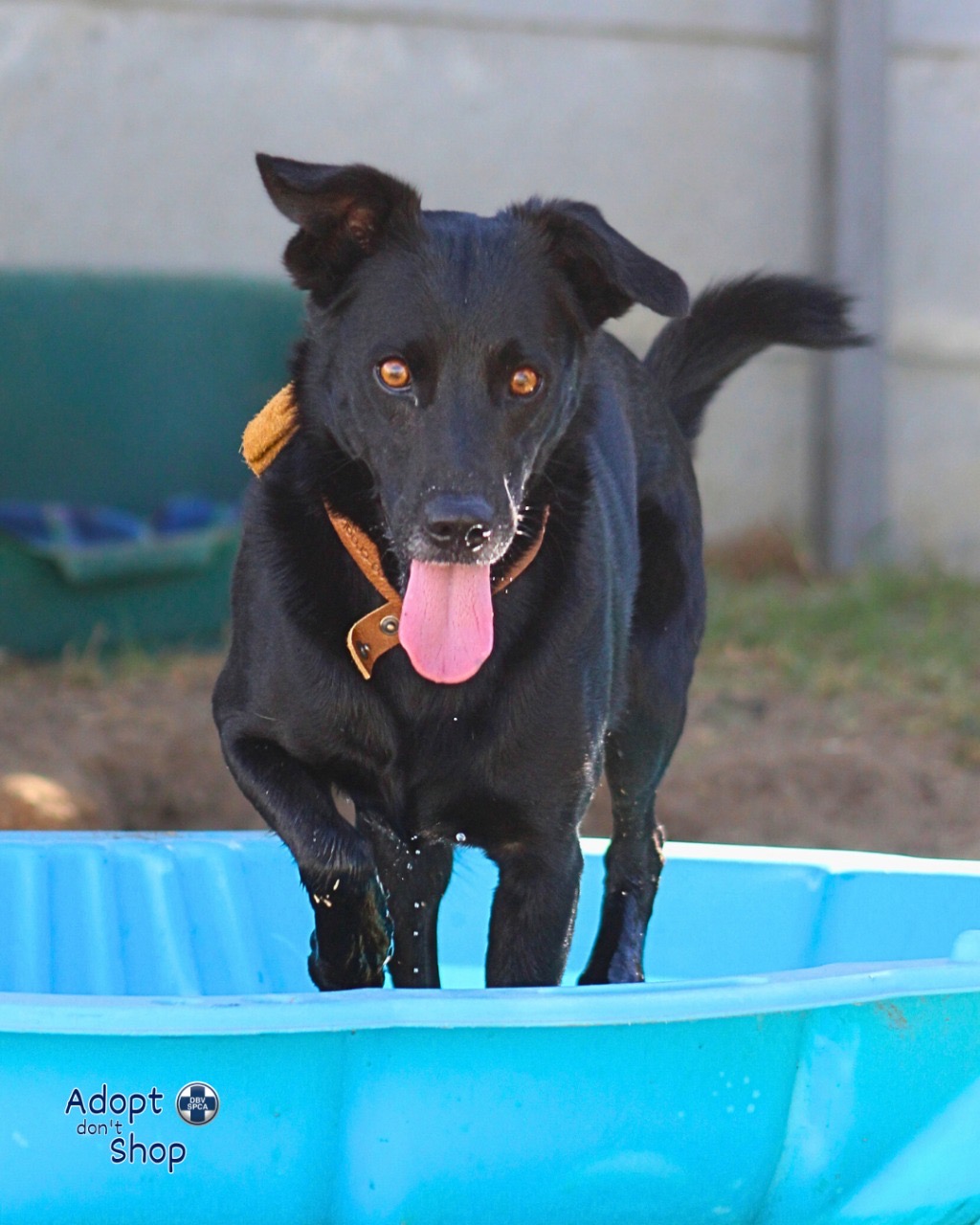 Featured image for “Lucky”