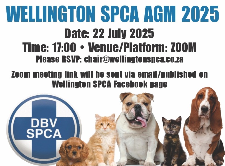 Featured image for “AGM 2025”