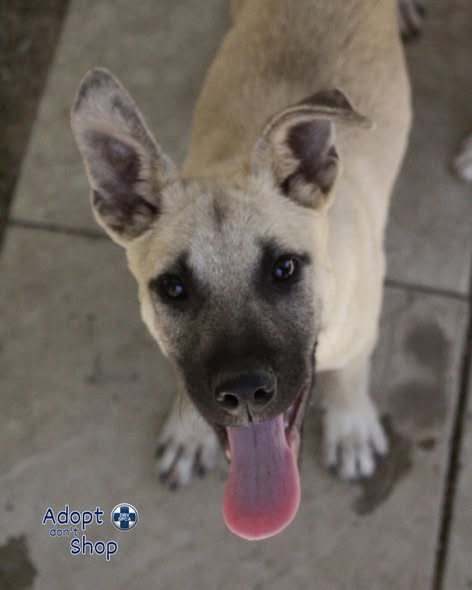 Featured image for “Barry”