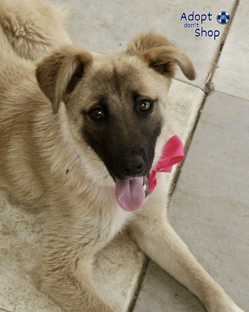 Featured image for “Cloe”