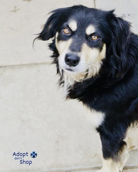 Featured image for “James”