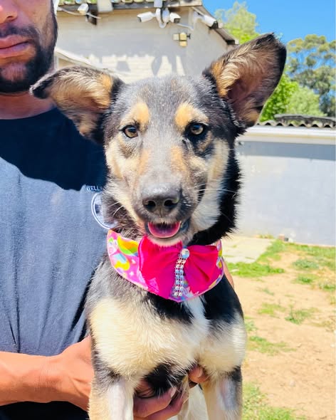 Featured image for “Jess”