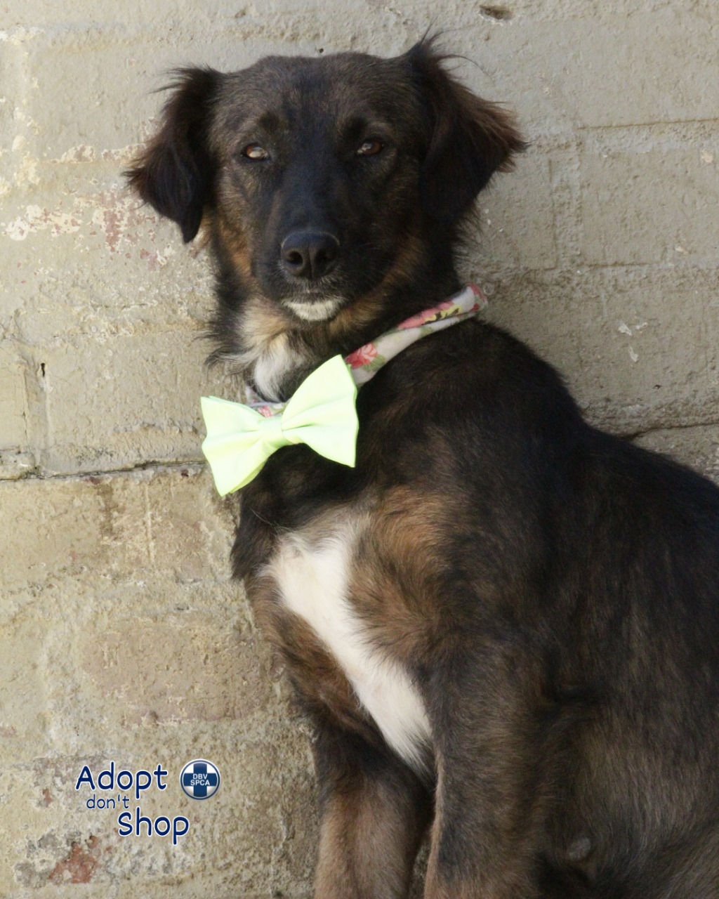 Featured image for “Micky”