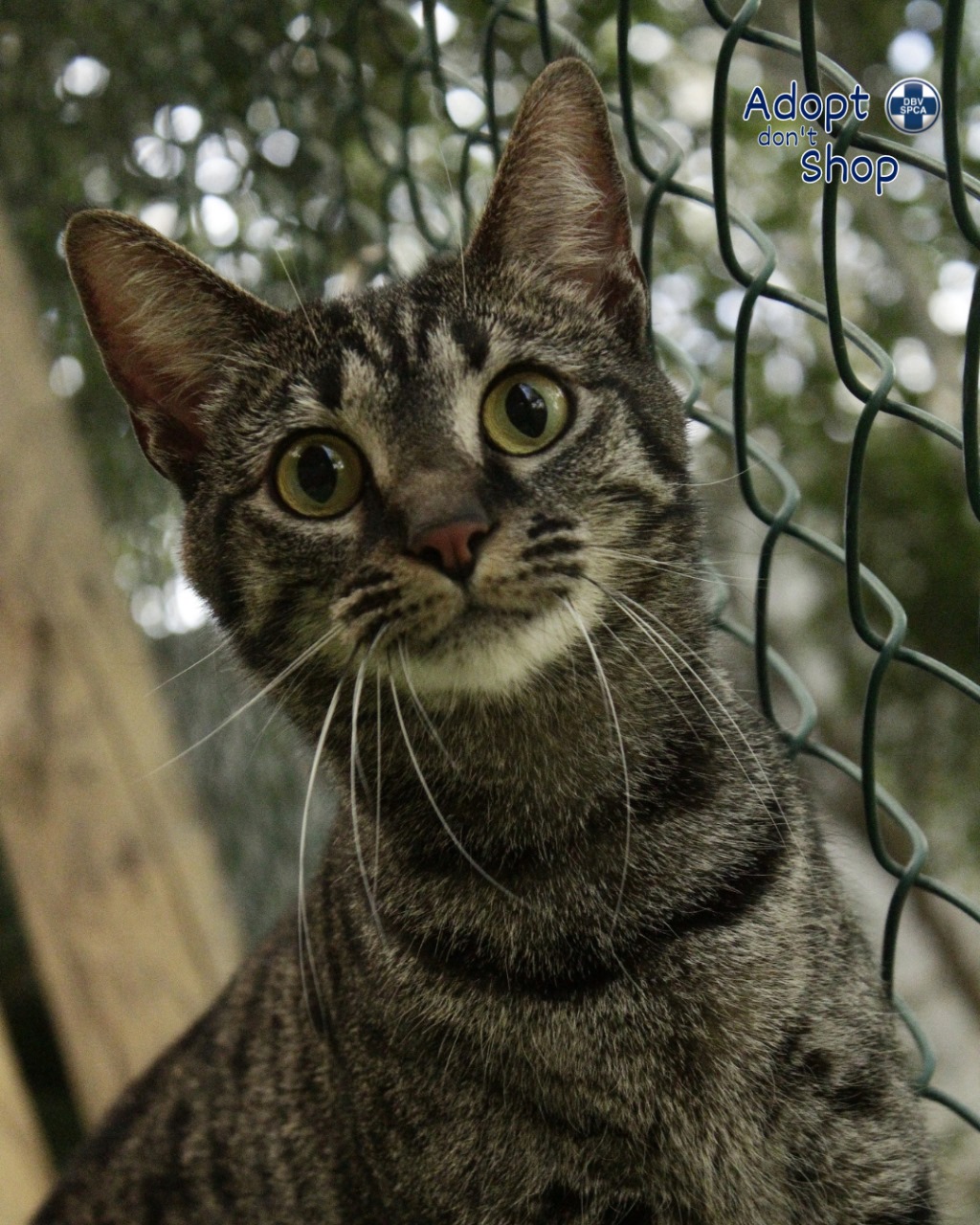 Featured image for “Mona”