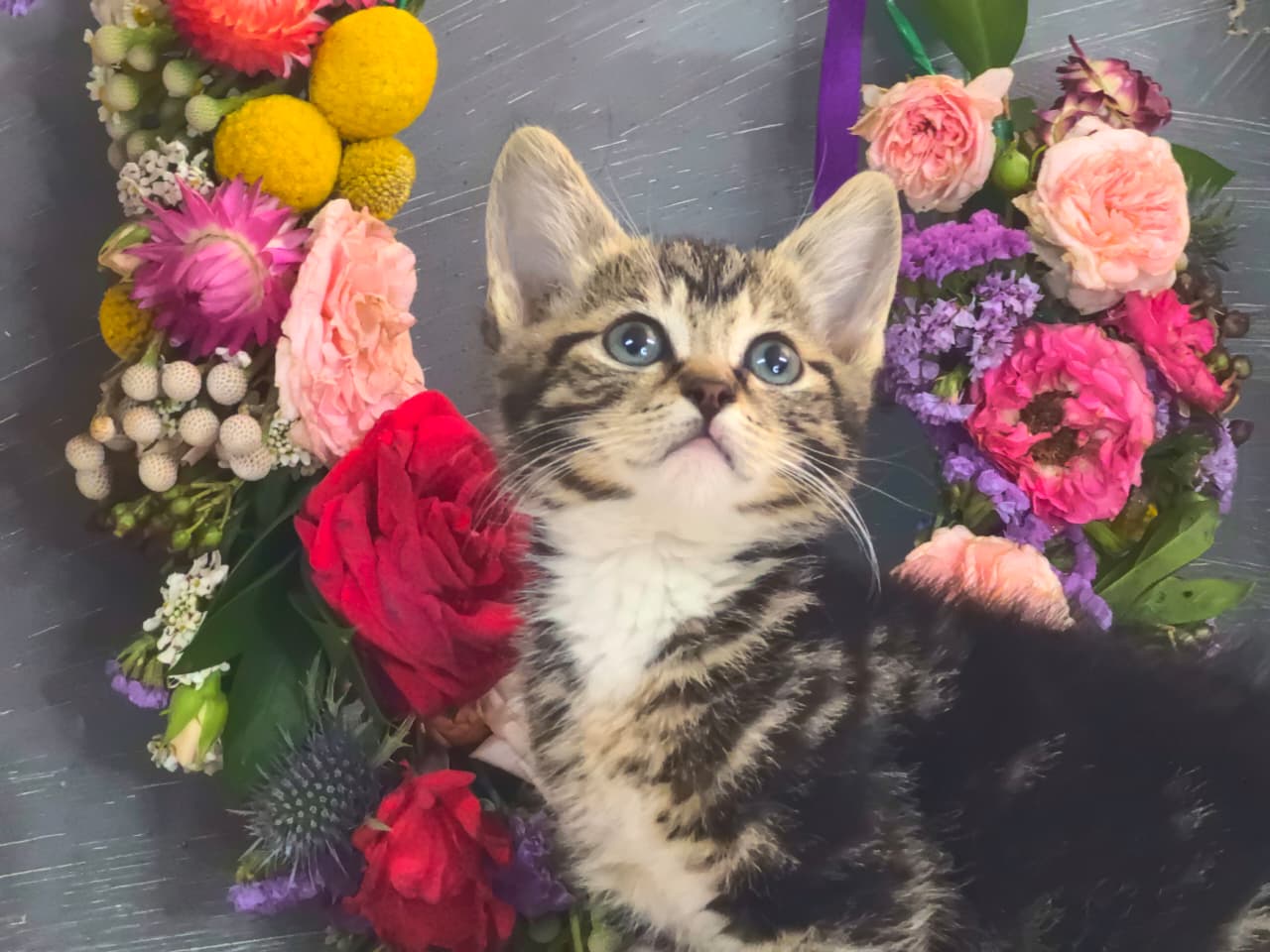 Featured image for “River”