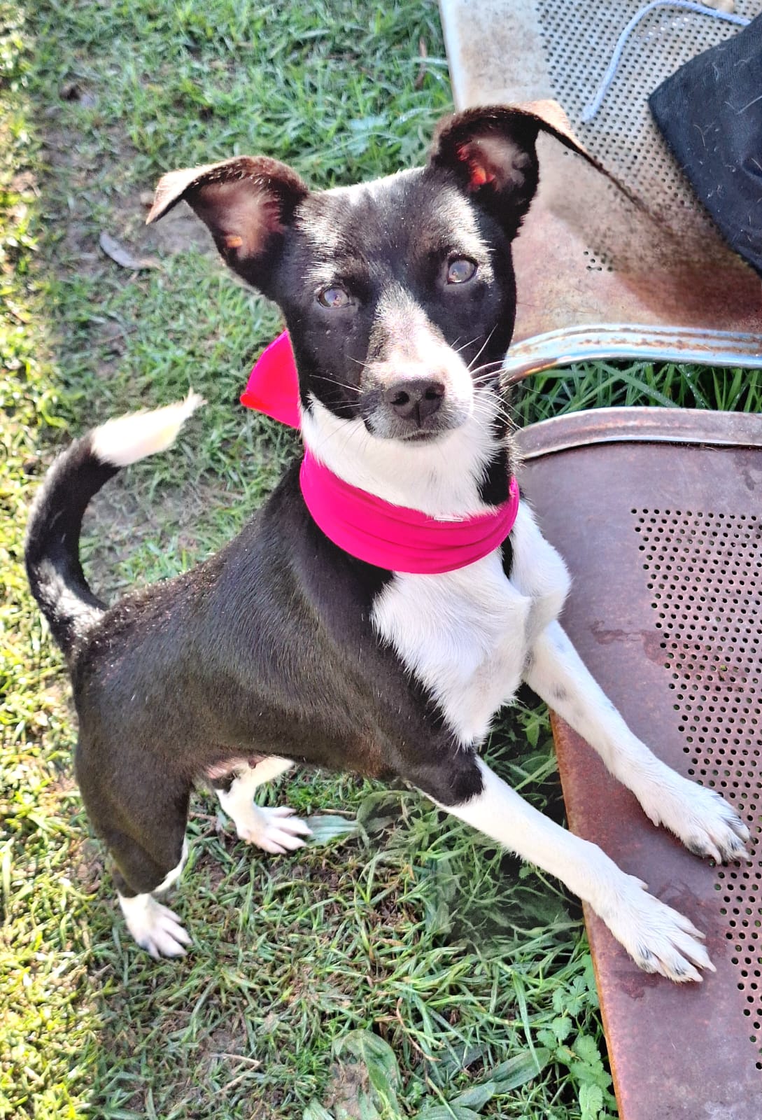 Featured image for “Shelly”