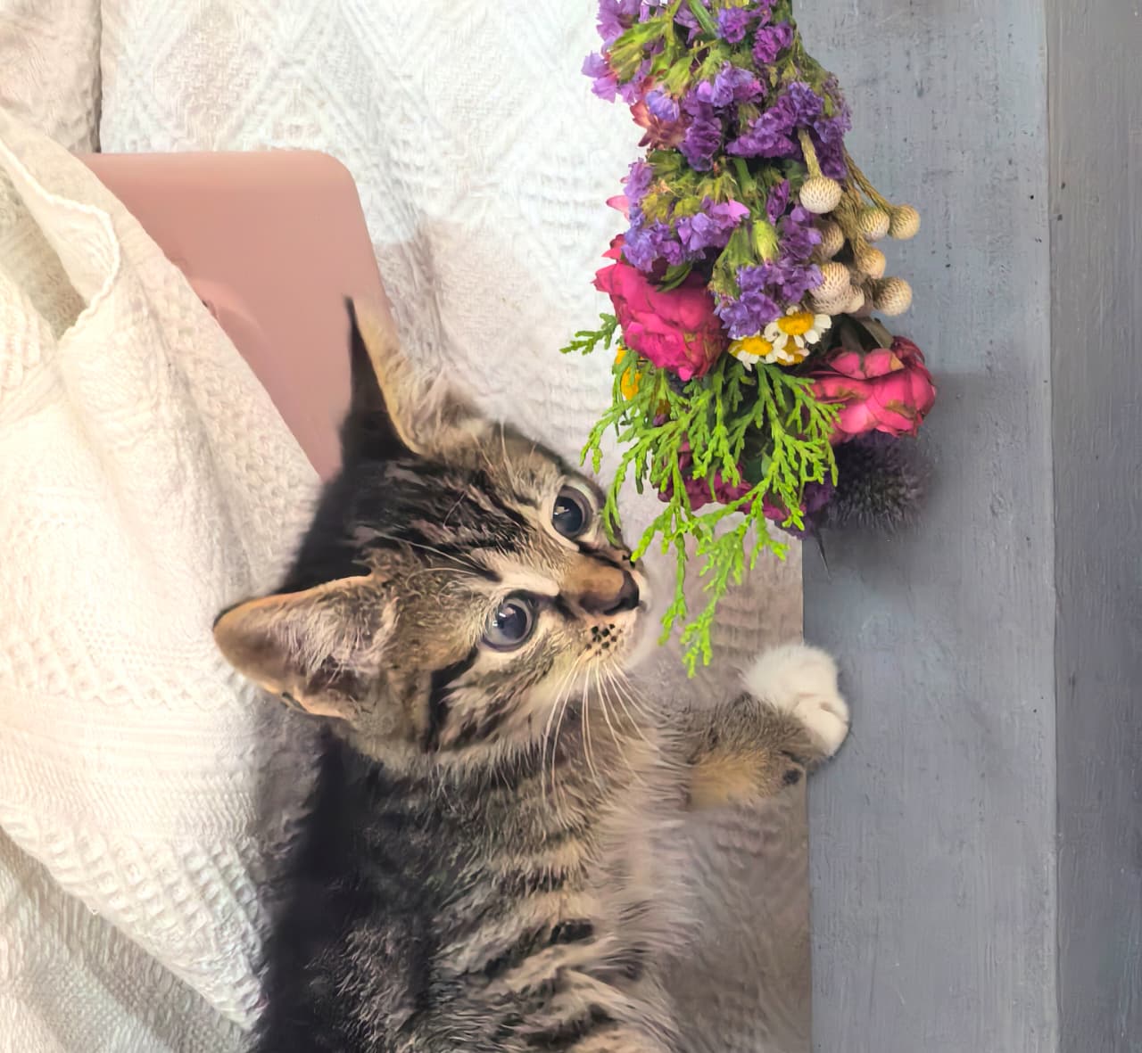 Featured image for “Silk”