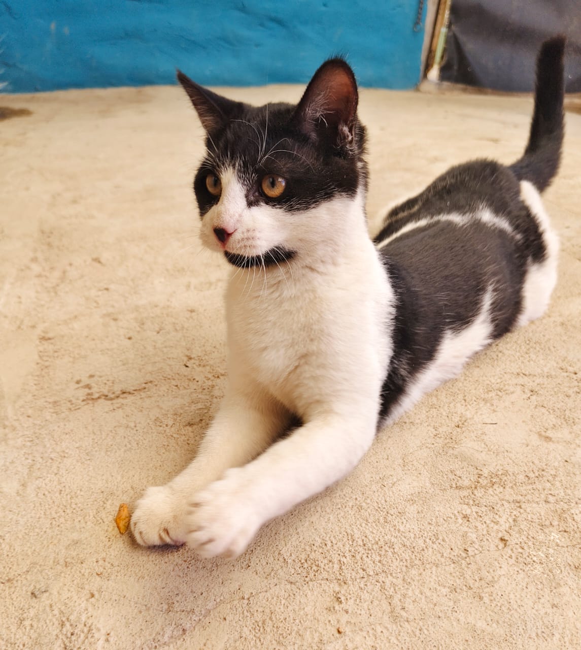 Featured image for “Thalia”