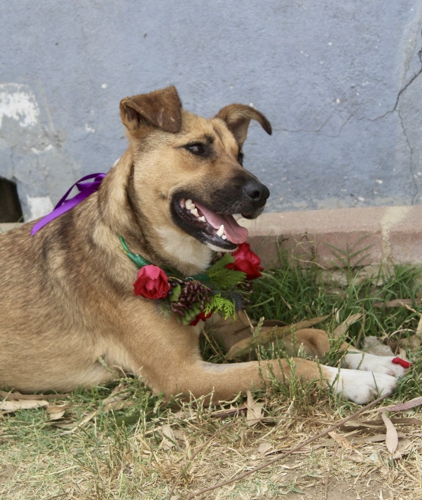 Featured image for “Vera”