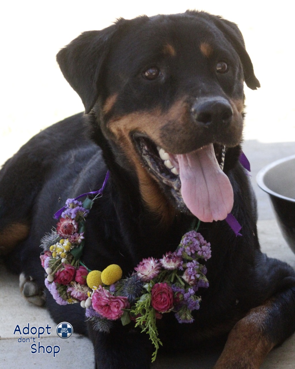 Featured image for “Zhara”