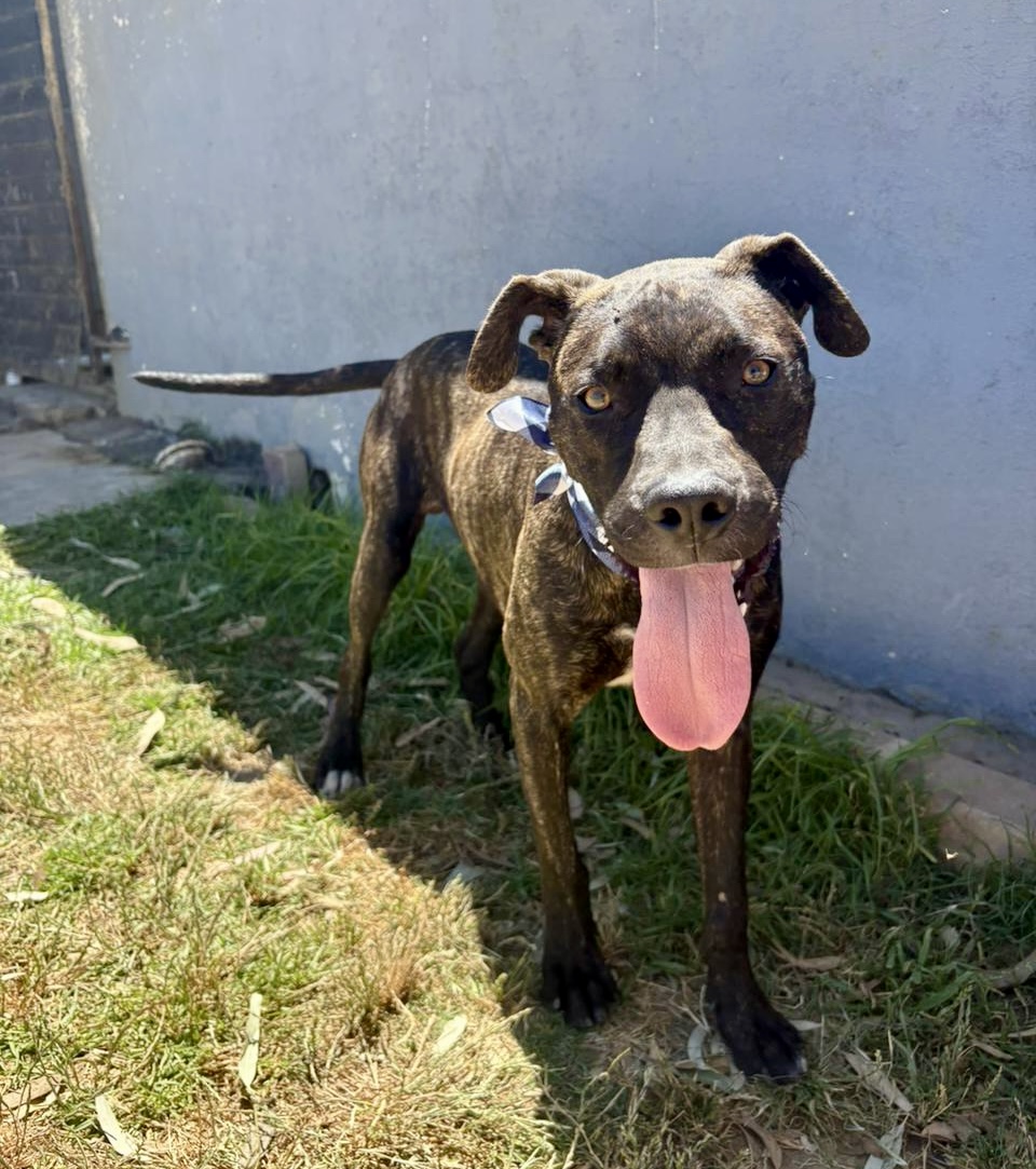 Featured image for “Miles”