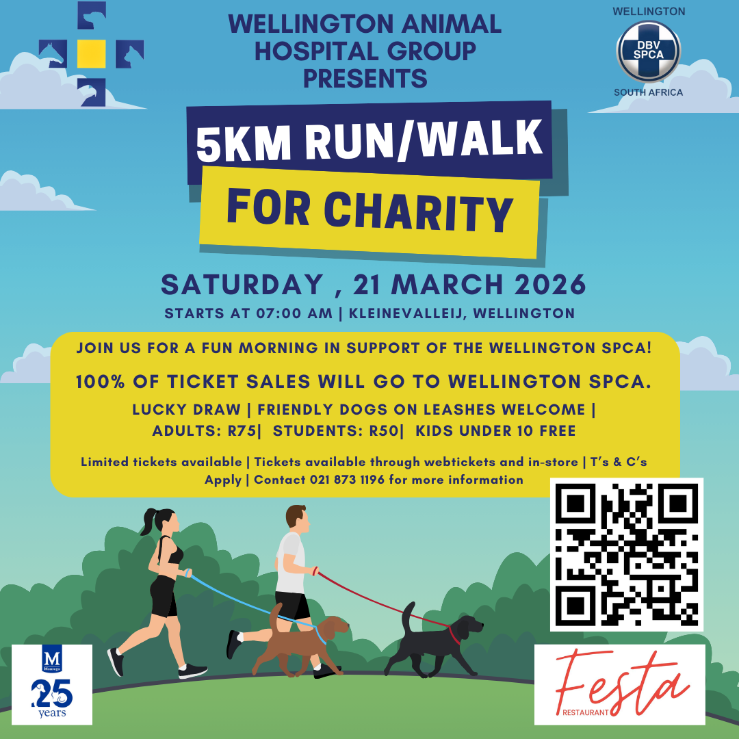 Featured image for “Wellington Animal Hospital FUN RUN 2026 – in aid of Wellington SPCA”