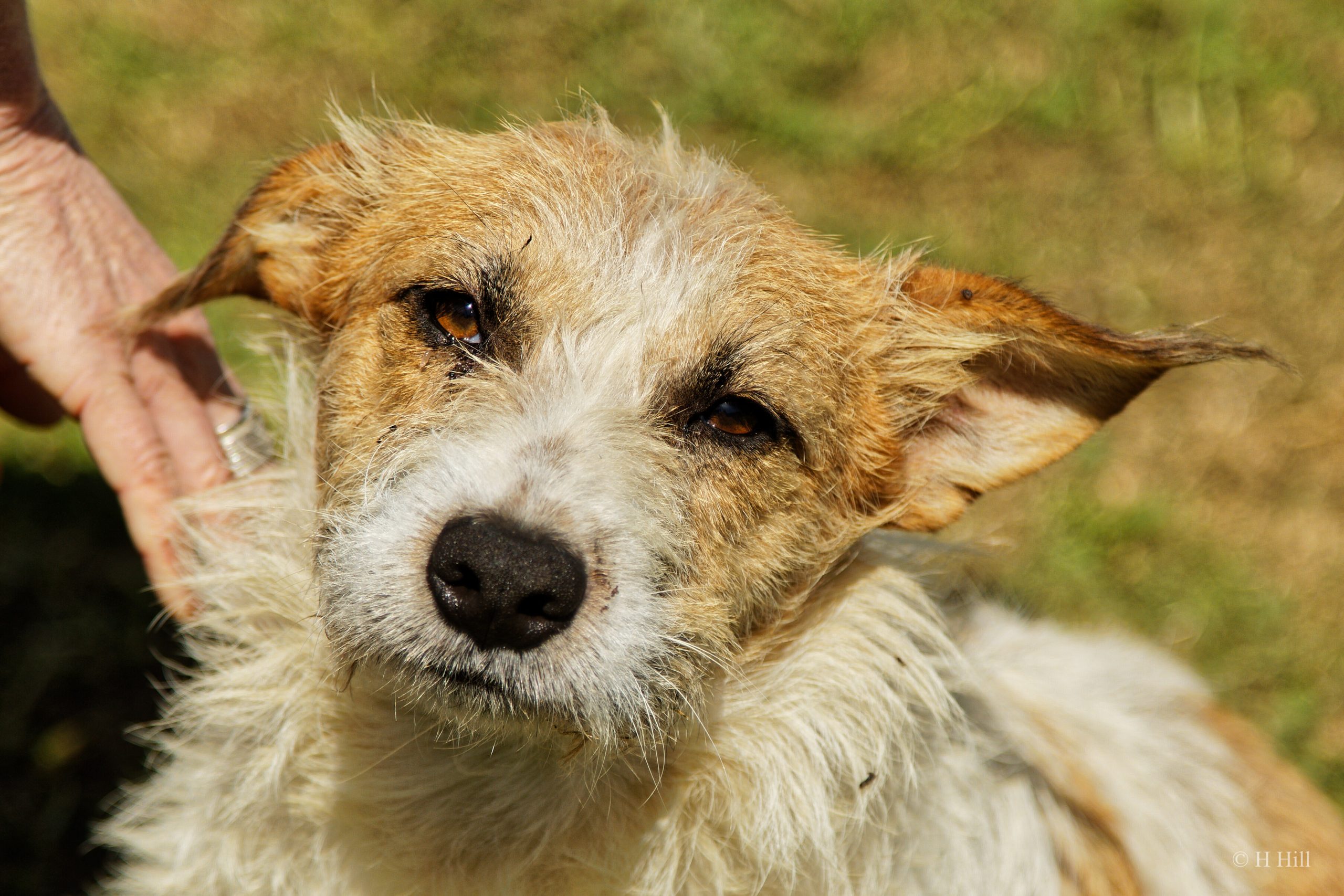 Featured image for “THEO”