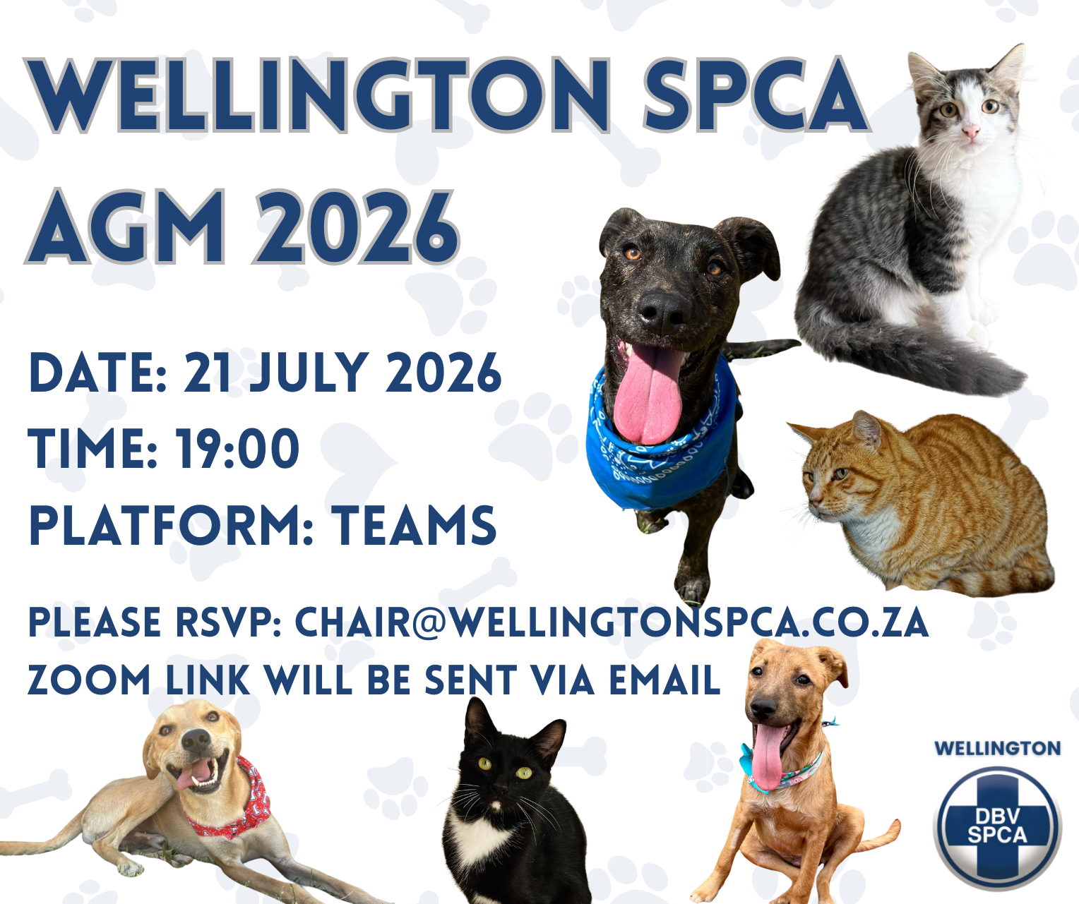 Featured image for “AGM 2026”