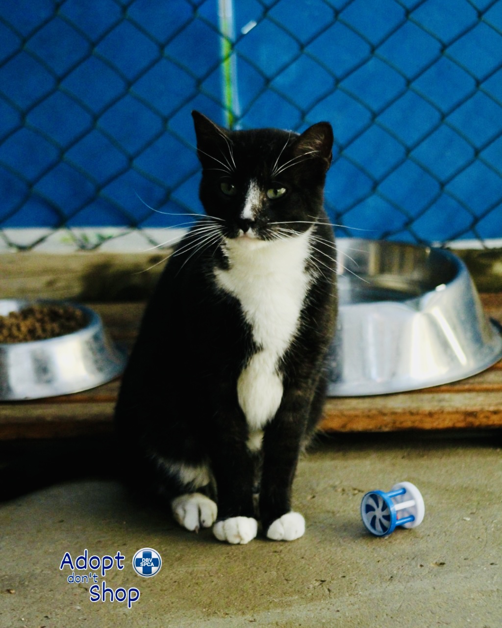 Featured image for “Jerry”