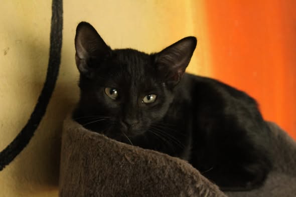 Featured image for “Floyd”