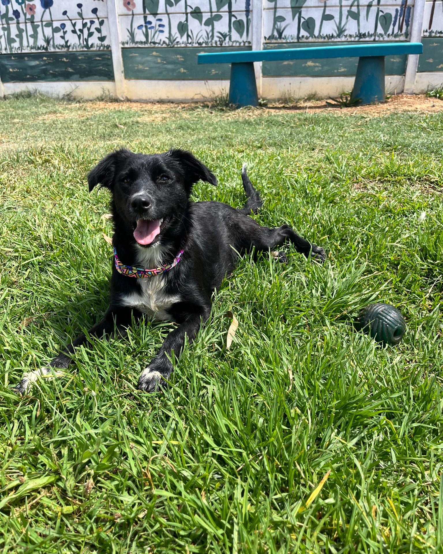 Featured image for “Tokyo”