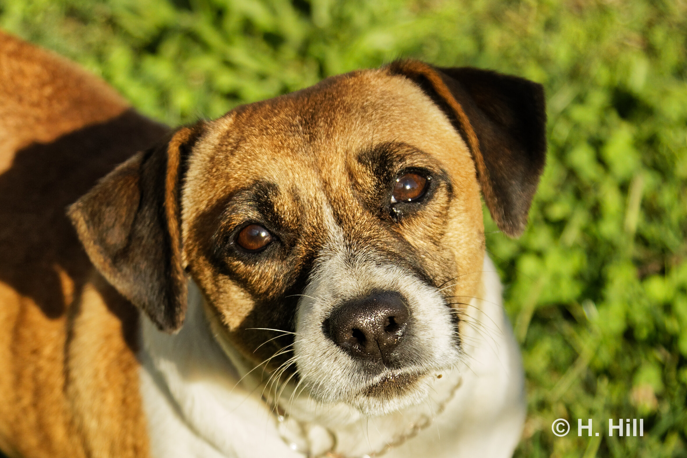 Featured image for “NIKITA”