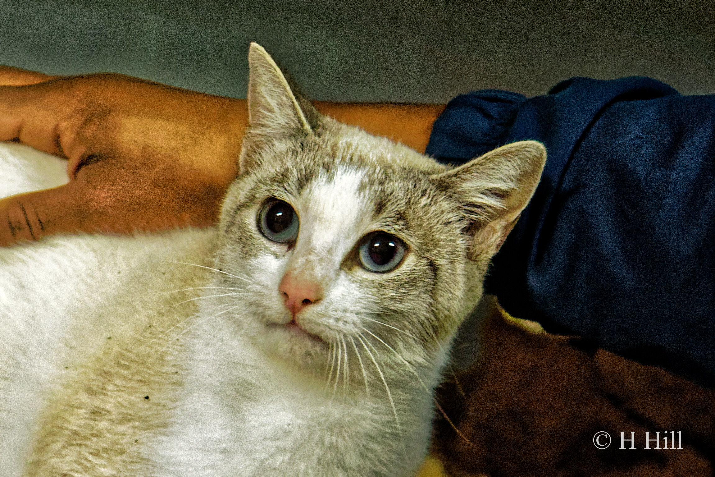 Featured image for “TOFU”