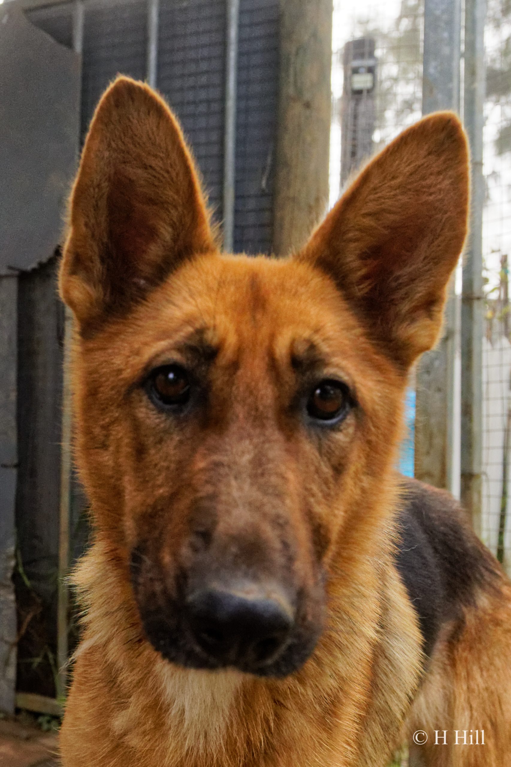 Featured image for “LUCY”