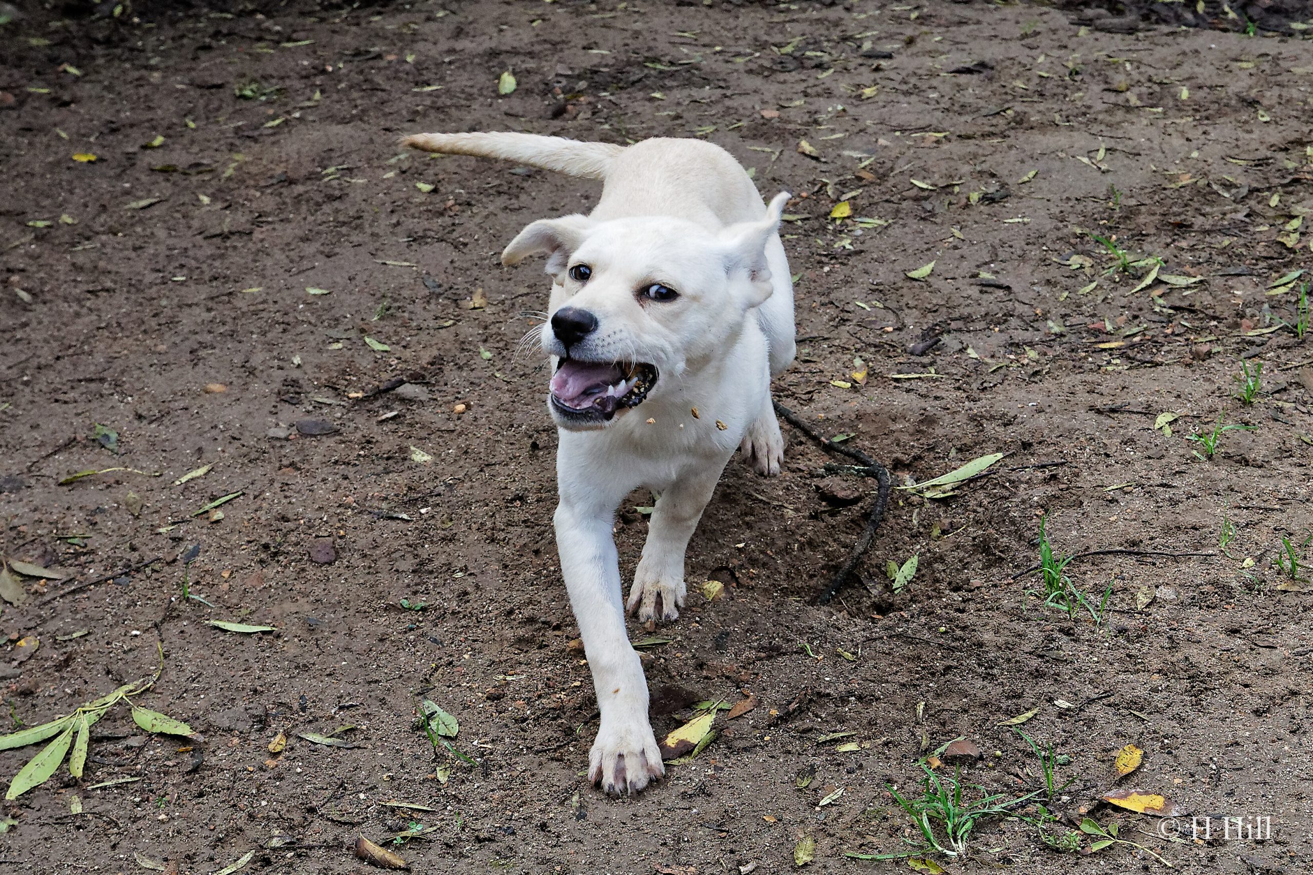 Featured image for “JESSIE”