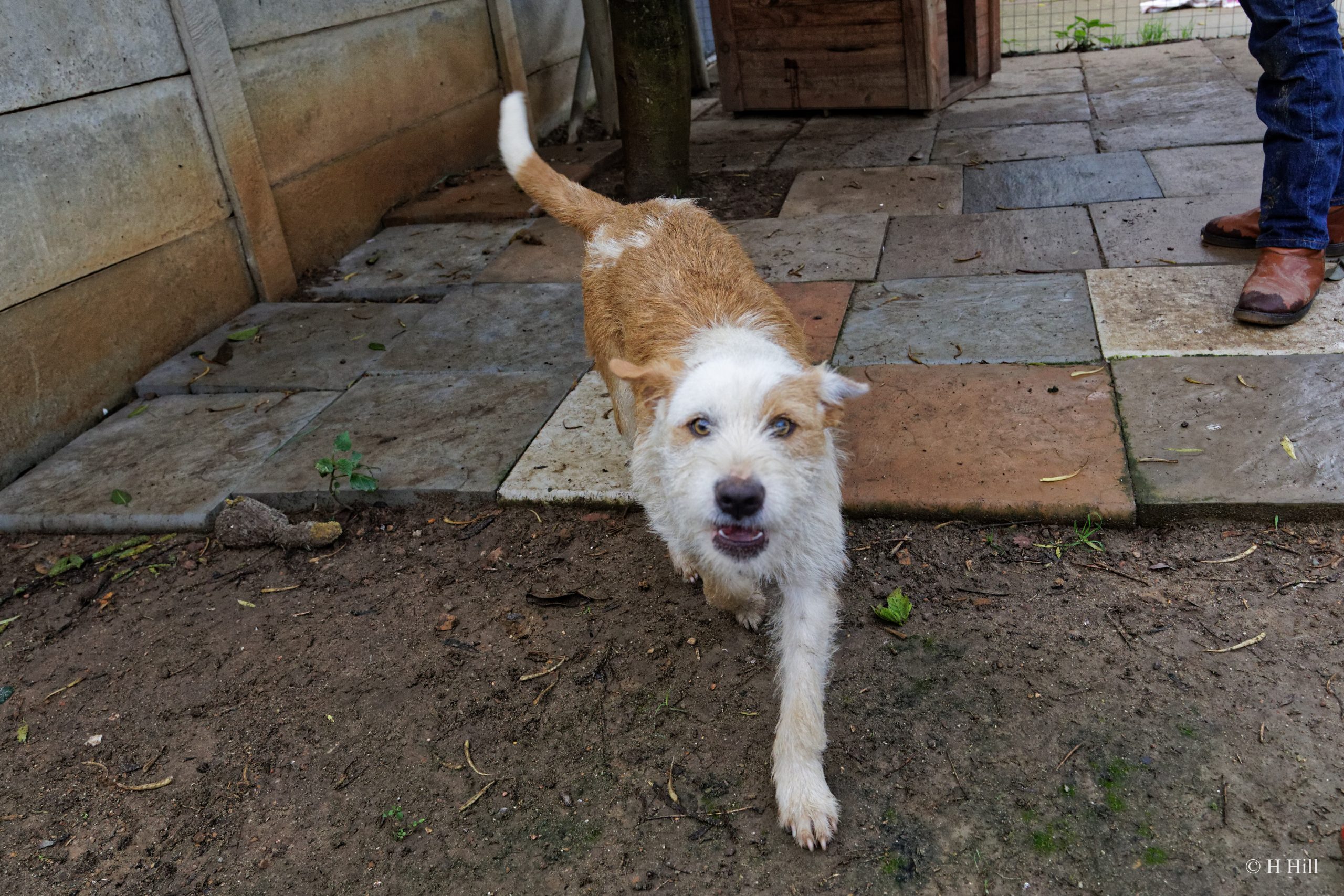 Featured image for “BELLA”